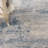 Ariaya Abstract Indoor Rug-1539013971