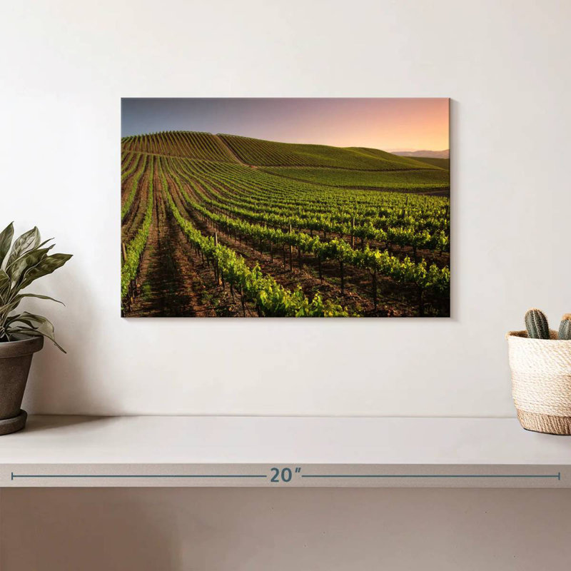 Alvord Carneros Winery