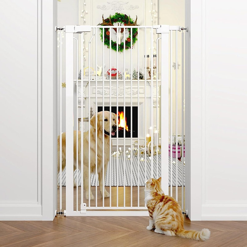 Steel Pet Gate