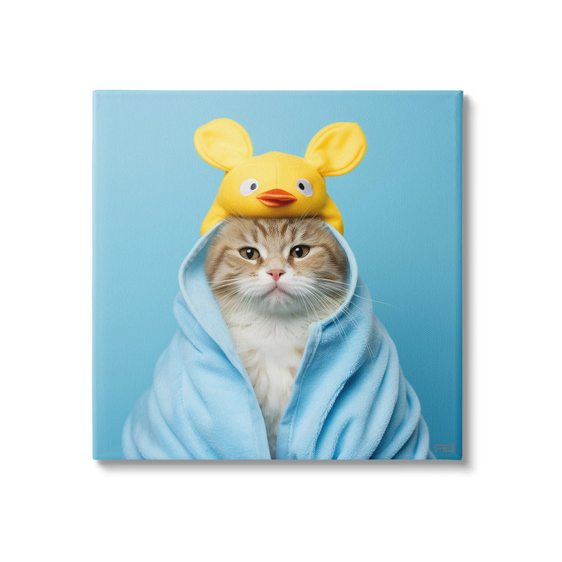 Cadre flottant Cat In Cozy, 24" H x 24" W x 1.5" D