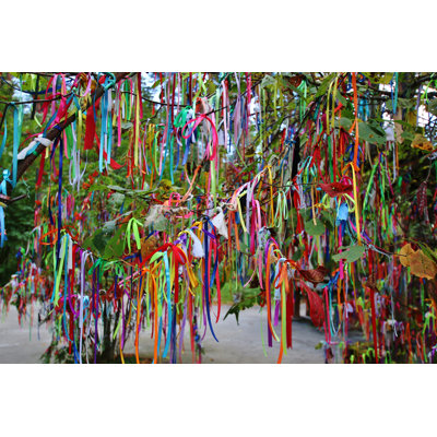 Ruban de couleur Nikholas sur une branche d'arbre