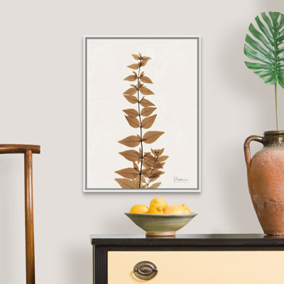 «Aged Abelia» par Albert Koetsier, reproduction sur toile