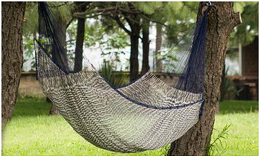 Gala 1 Person Camping Hammock World Menagerie
