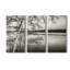 Adirondack Reflections - Photographie sur toile tendue 3 pièces-1526109752