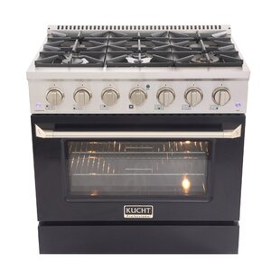 ZLINE 30 4.0 Cu. ft. Dual Fuel Range with GAS Stove and Electric Oven in Black Stainless Steel with Brass Burners (RAB-BR-30)