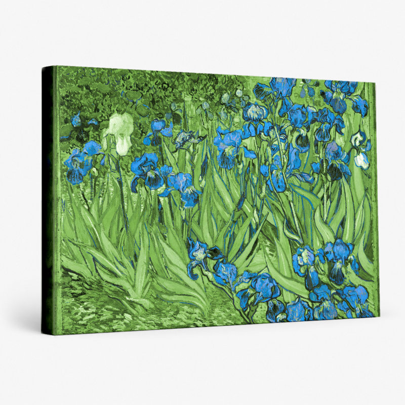 Iris (1889) - Paysage, art mural sur toile, 36" W x 24" H