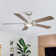 Carmille 52'' Ceiling Fan with LED Lights