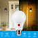 LED A19 Sensor Light Bulb Dusk to Dawn 60W(Eqv.), E26/Medium Base
