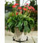 Eleni Weather Resistant Planter Feet-42605026