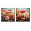 Zinnias avec leurs formes tout en courbes - Zinnias-921723687-921723688