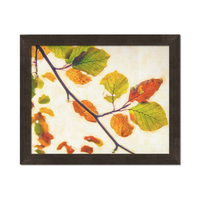 Gravure d'automne I par Hal Halli. Impression sur papier - Montée et encadrée, H 36 po x l 44 po