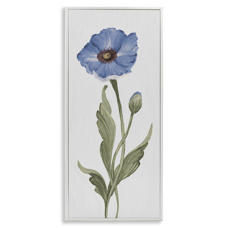«Blooming Blue Poppy», estampe numérique par Elizabeth Medley, Estampe numérique encadrée blanc bord de mer