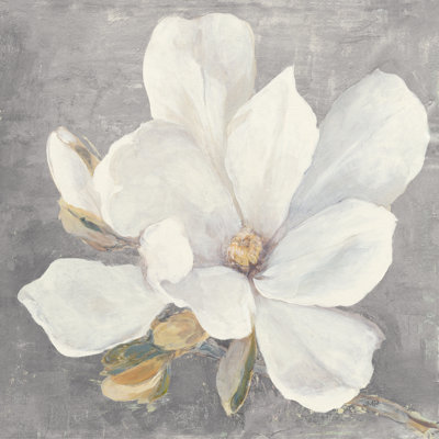 " Serene Magnolia Light Gray "