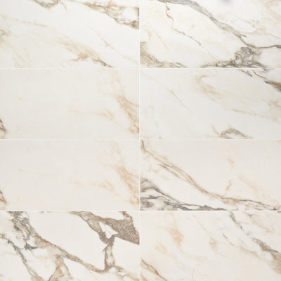 Everstone 12" x 24" Polished Marble Look Porcelain Floor and Wall Tile