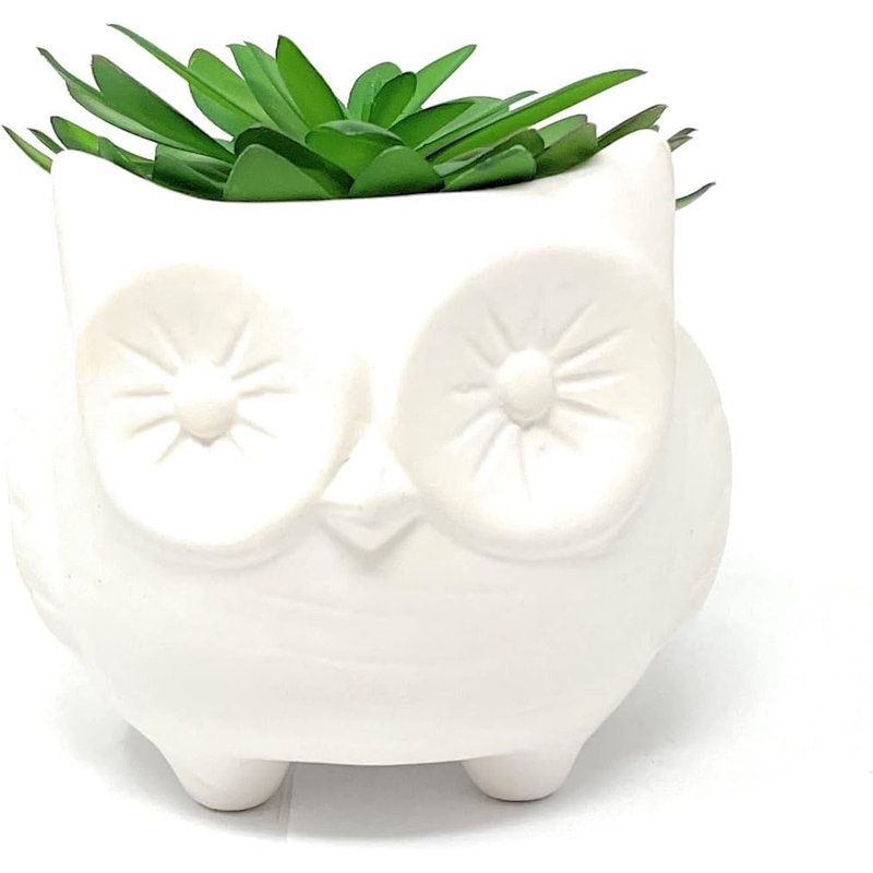 Fausse plante grasse en céramique 4,7 po, Hibou