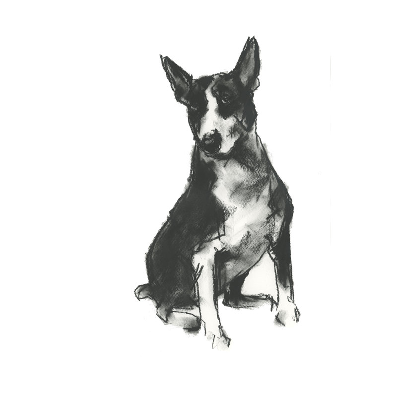 Tangina Doggy Expressions II by Cartissi - Wrapped Canvas Print, 46 cm H x 30 cm W