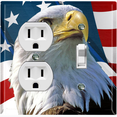 Patterned 2 - Gang Toggle Light Switch Standard Combination Wall Plate