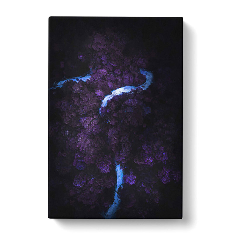 Road Through A Forest In Honduras - Wrapped Canvas, 76cm H x 50cm W x 3cm D