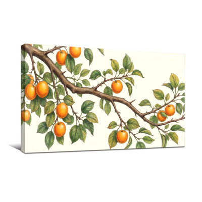 Plantes et fleurs - branche d'oranger avec feuilles et fruits
