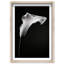 Calla Lily II Print by Oliver Gal-458560763-458562308