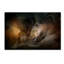 «Lion Love» par Jai Johnson - impression d'art graphique-31105055