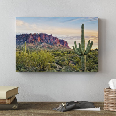 " Cacti View II " by David Drost