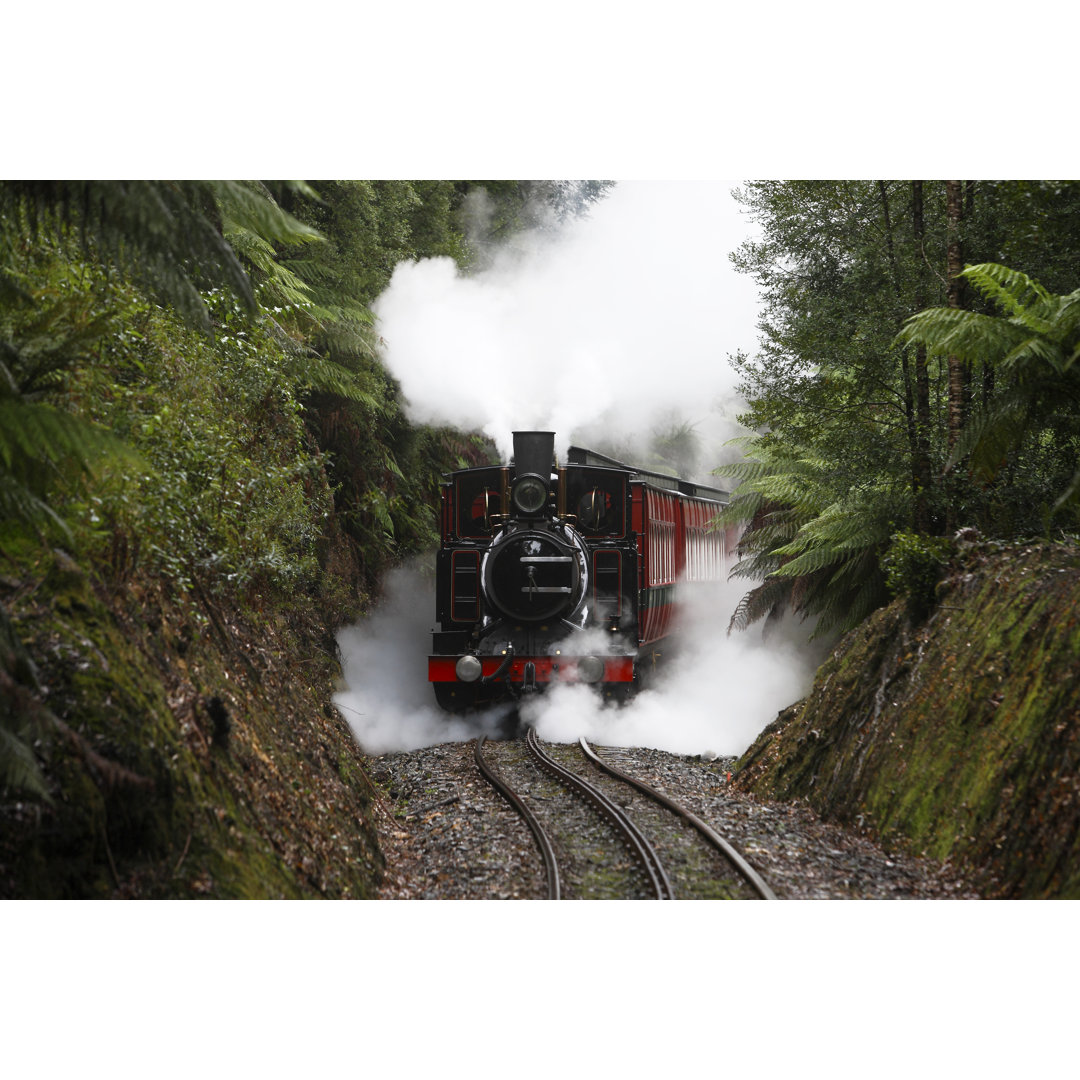 Dampfeisenbahn in der Wildnis