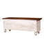Zalia Accent Trunk