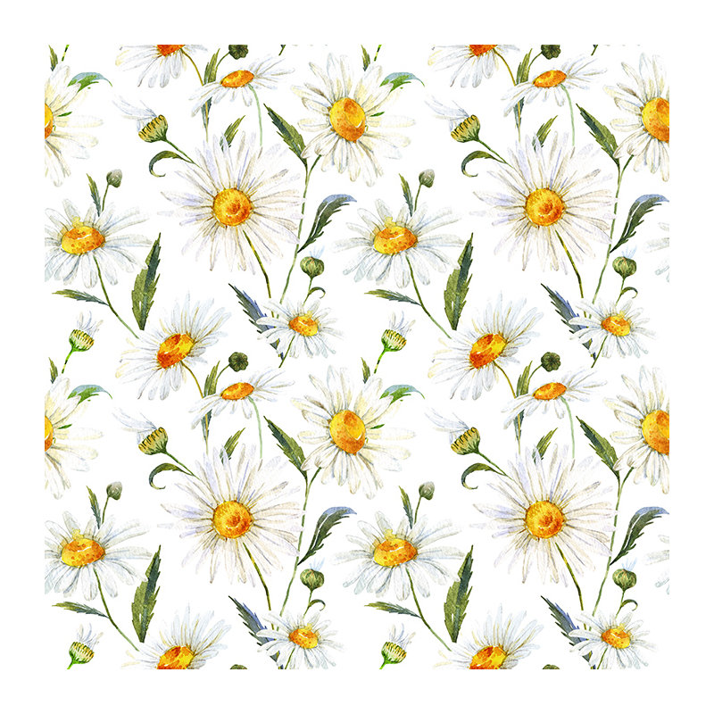 Campagne 2.5m x 2.5m Matte Mural, 250 x 250cm