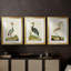 Heron Portrait I - Impression personnalisée de qualité supérieure avec passe-partout - 3 pièces-490649563-490649564