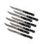 Zwilling JA Henckels 8 Piece Steak Knife Set