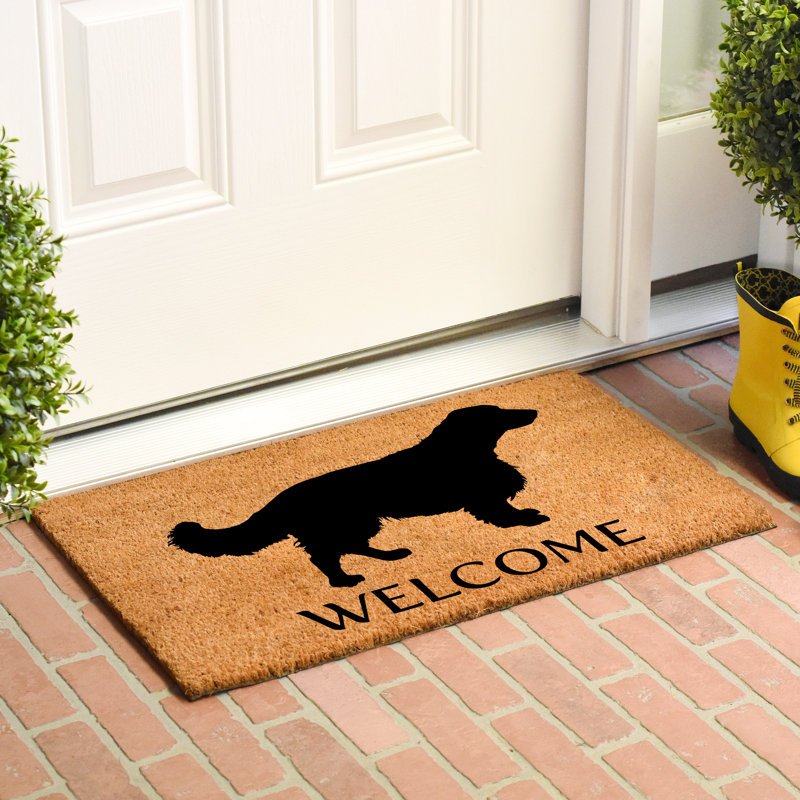 Tapis d'entrée antidérapant Ingulu, L 0,6 po x l 36 po x P 24 po