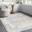 Machine Washable Traditionnal Boho Taupe Area Rug-1309830911