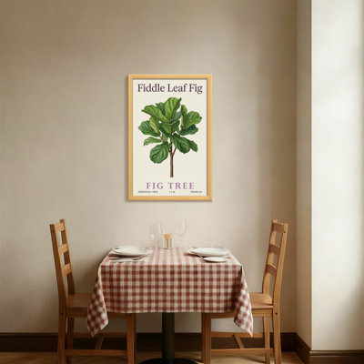 Plantes et fleurs, figuier figuier, reproduction d'art botanique