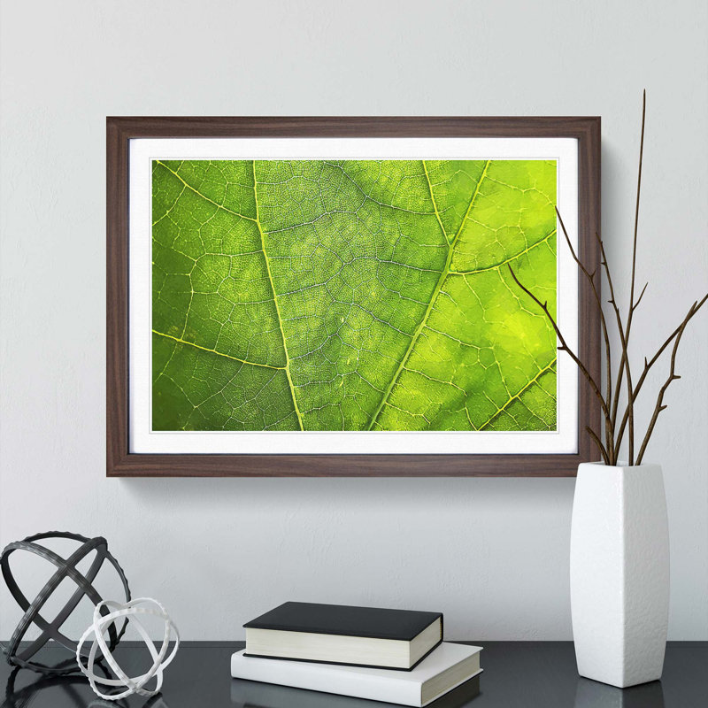 Veins of a Leaf - Picture Frame Photograph Print, 35cm H x 50cm W x 2cm D, Walnut