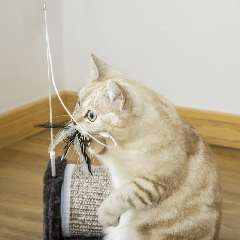 40.64 cm H Cat Scratchers