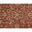 Hand Knotted Wool Oriental Area Rug in Red And Black