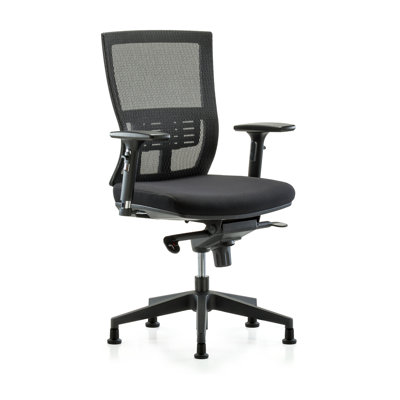 Aliceville Mesh Task Chair