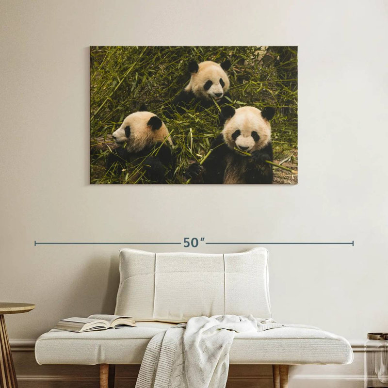 Trois Pandas affamés, H 26 po x l 39 po