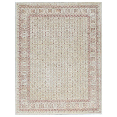 Ziegler Wool Oriental Area Rug in Beige