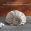 Drap-housse en coton-110351647-110351643