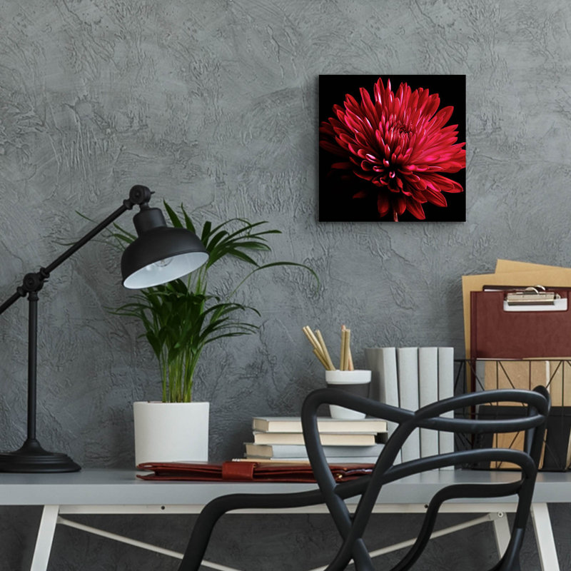 «Red Chrysanthemum On Black» par Tom Quartermaine, H 12 po x l 12 po x P 0,13 po