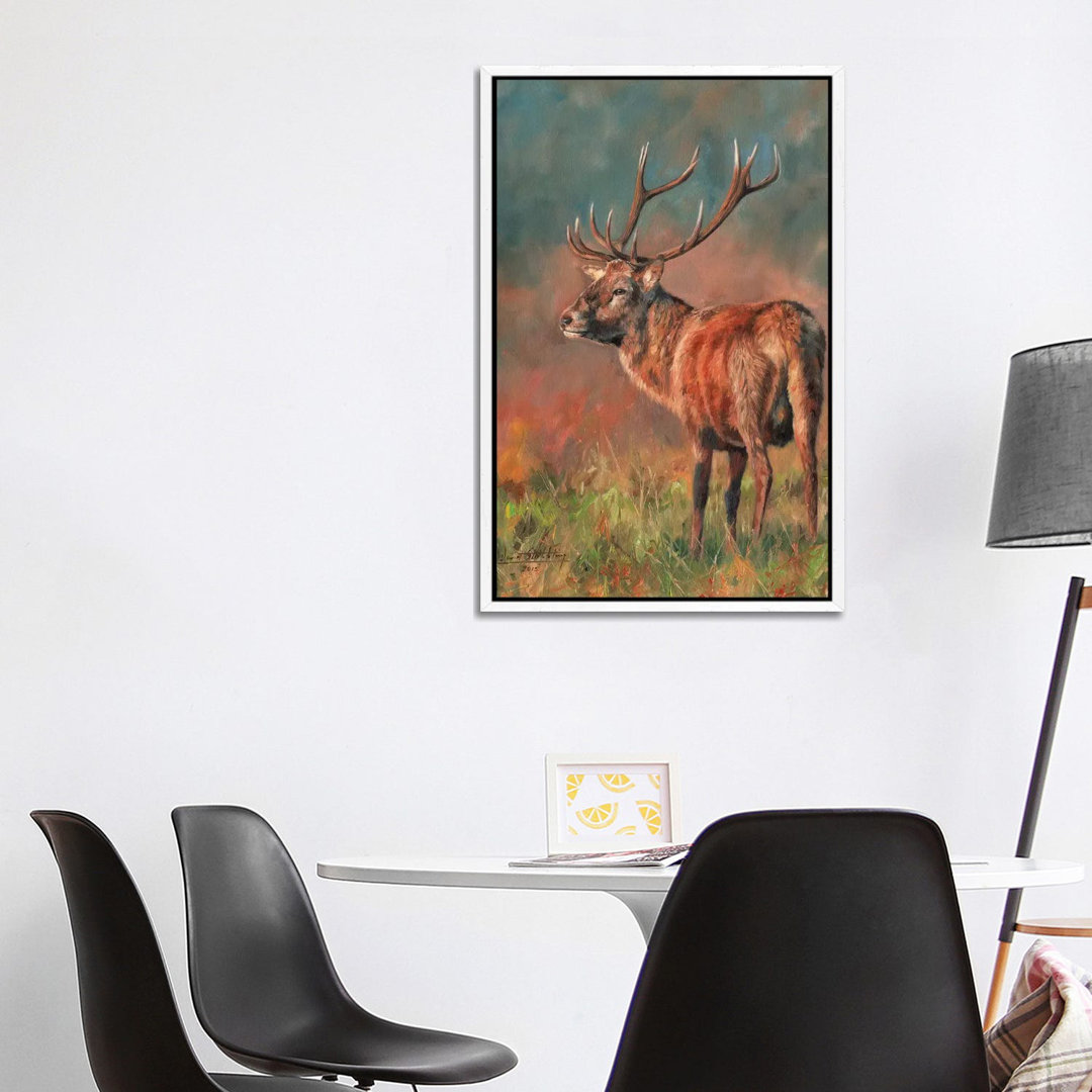 Red Deer Stag Evening Light von David Stribbling - Gallery-Wrapped Canvas Giclée on Canvas