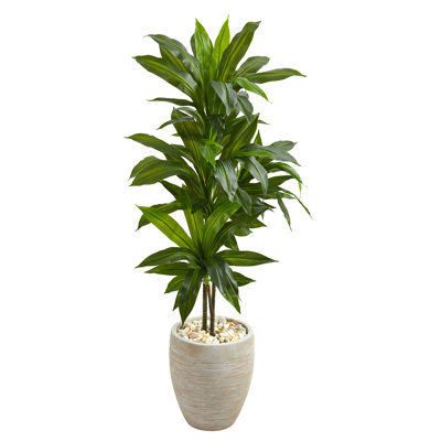 48" H Artificial Foliage Plant in Planter