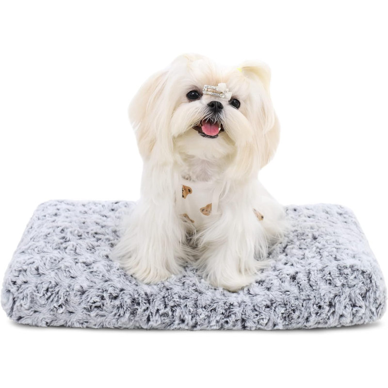 Lavable pour chien Lit de luxe pour chien en peluche Fulffy, Petit (l 21 po x P 13 po x H 2,5 po), Gris