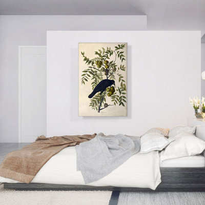 " American Crow " by James Audubon