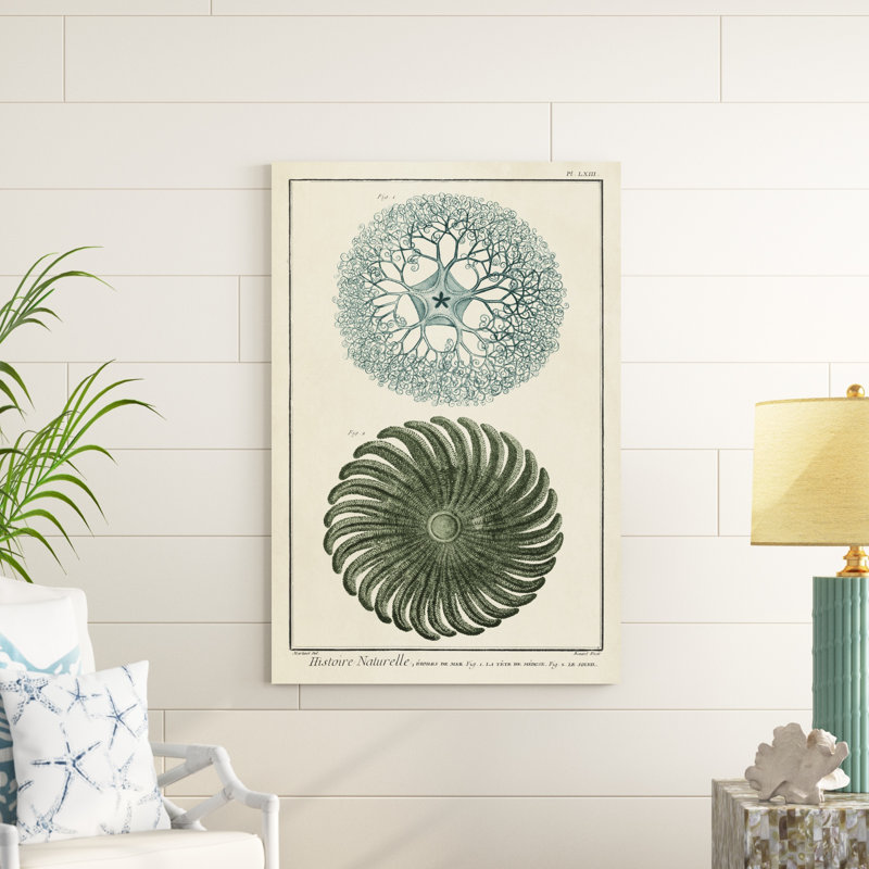 Ocean Oddity I, H 48 po x l 32 po x P 1,25 po