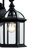 Roscoe 15.38" H Outdoor Wall Lantern-1508952643