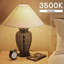Ampoule DEL Luxrite A19 8 W = 60 W non froide à intensité variable 800LM, ampoule DEL standard, E26, luminaire fermé, homologué pour l'humidité, emballage ETL 16