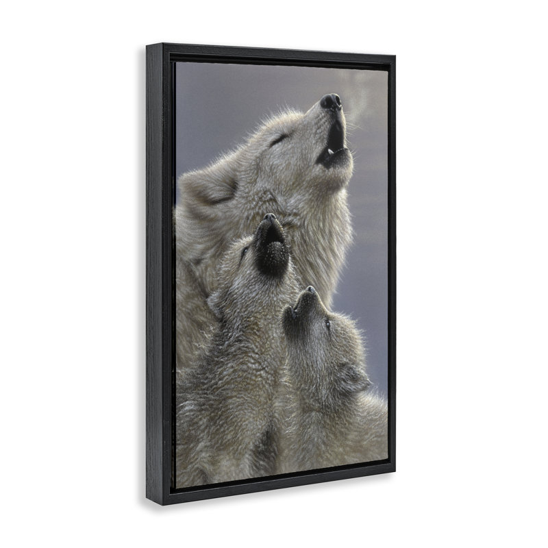 Cadre flottant Singing Lessons White Wolves, conception par Collin Bogle, H 25 po x l 17 po, Cadre flottant noir de jais